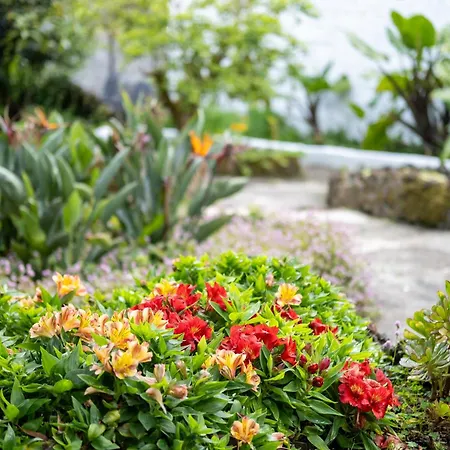 Guest house Quinta