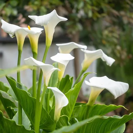 Гостевой дом Quinta