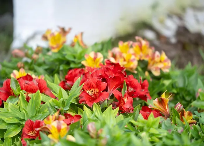 Quinta Πανσιόν