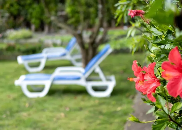 Πανσιόν Quinta São Roque